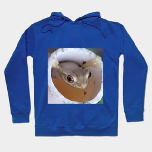 Froggie Hoodie